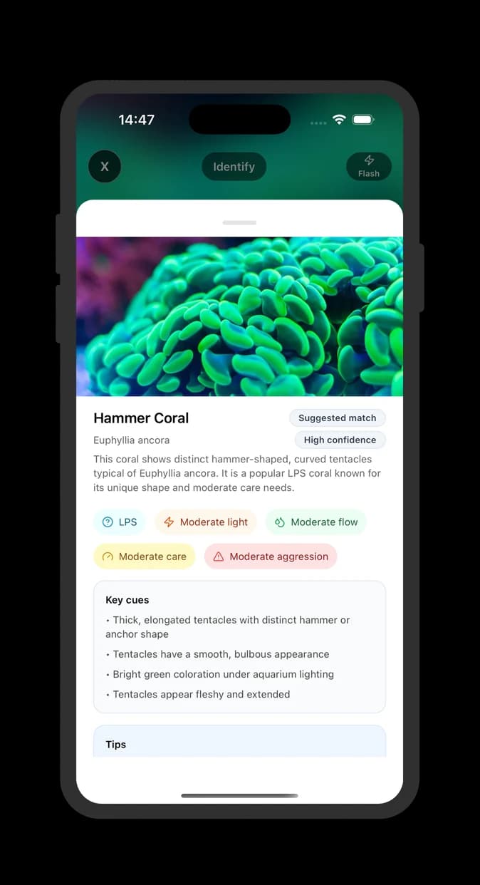 Coral Identifier result screen